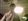 Mayur Z