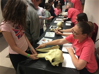 UT Girls in Engineering Day